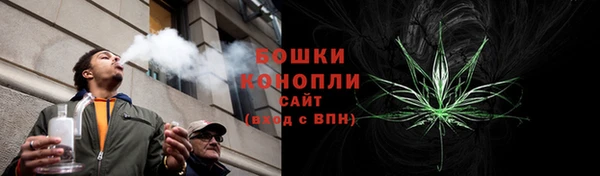 крисы Богданович
