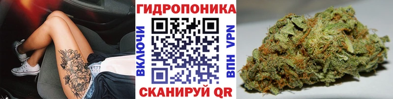 Бошки Шишки конопля  Великий Устюг 